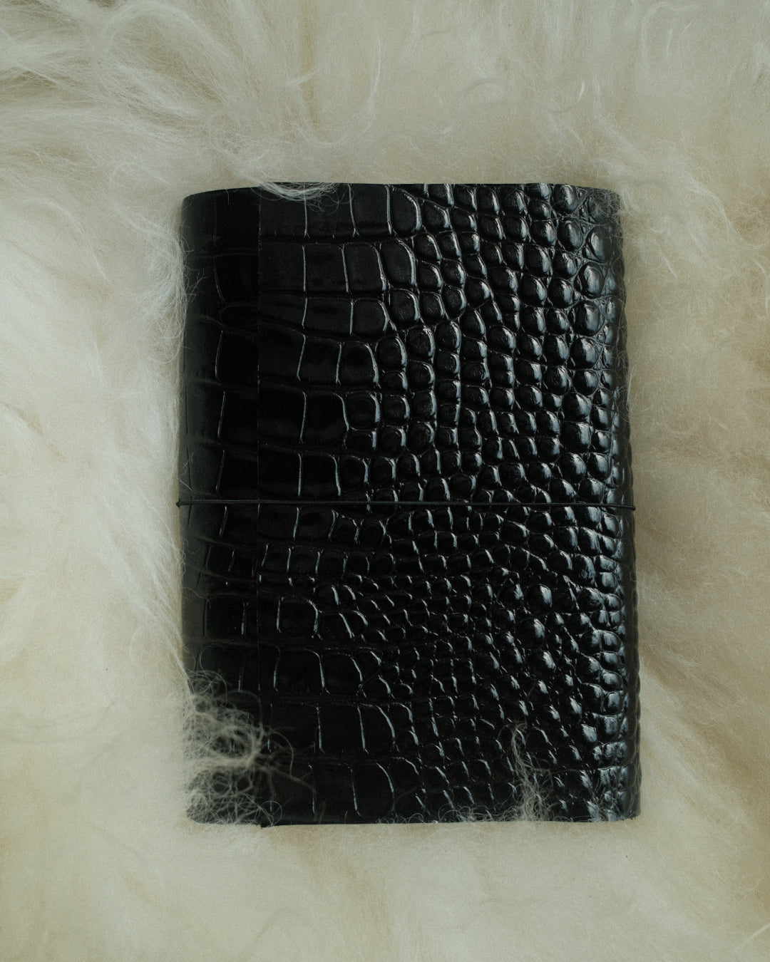 Black Crocodile