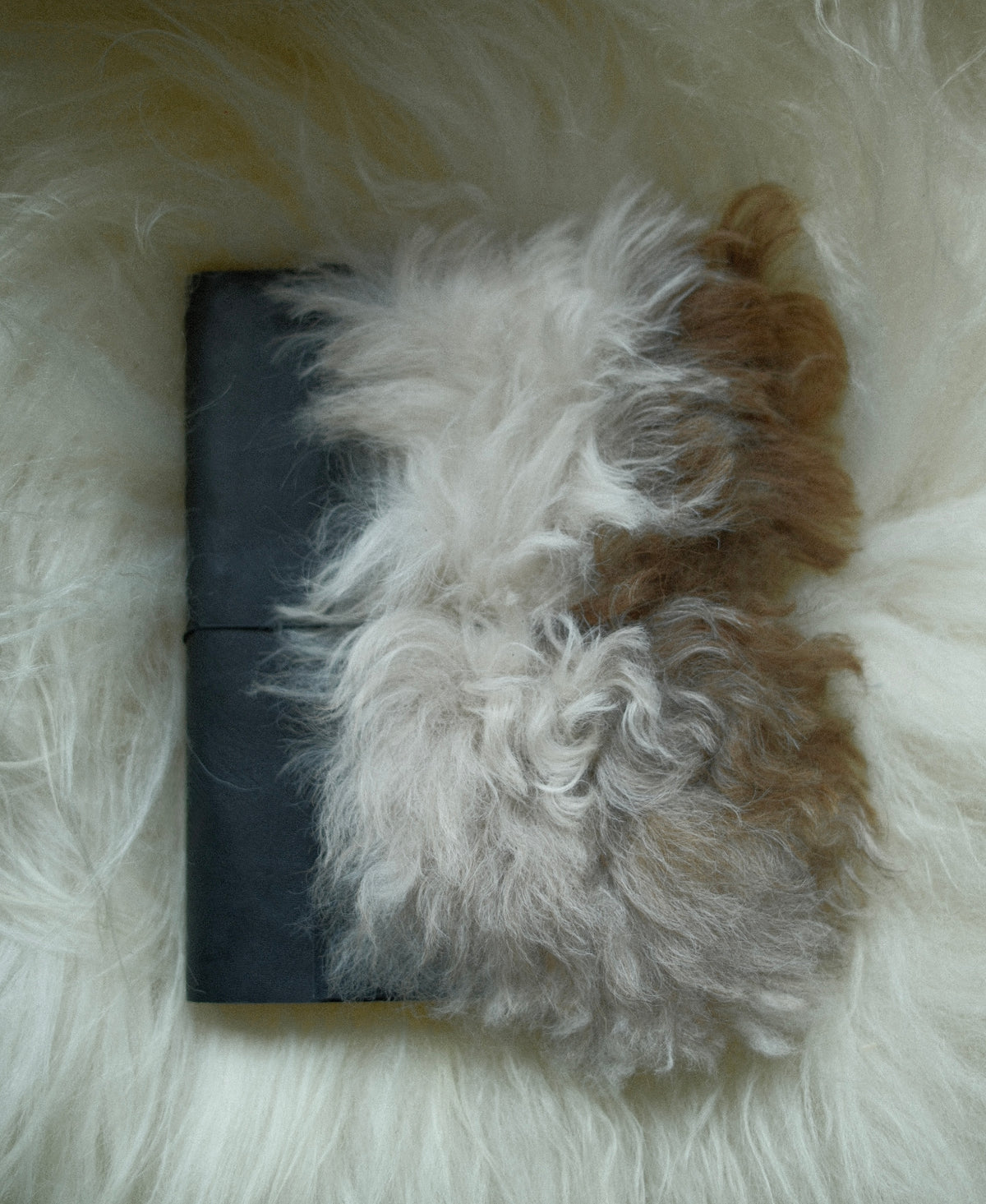 Fur Sketch Book